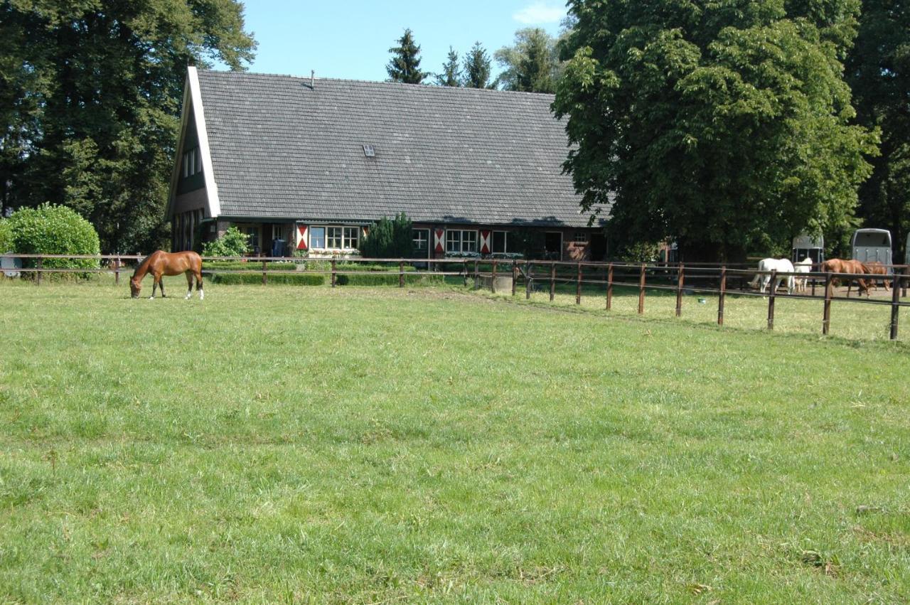 Erve Het Roolvink Boerderij Appartementen 40-50 M2 Ενσκέντε Εξωτερικό φωτογραφία