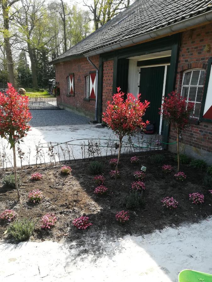 Erve Het Roolvink Boerderij Appartementen 40-50 M2 Ενσκέντε Εξωτερικό φωτογραφία