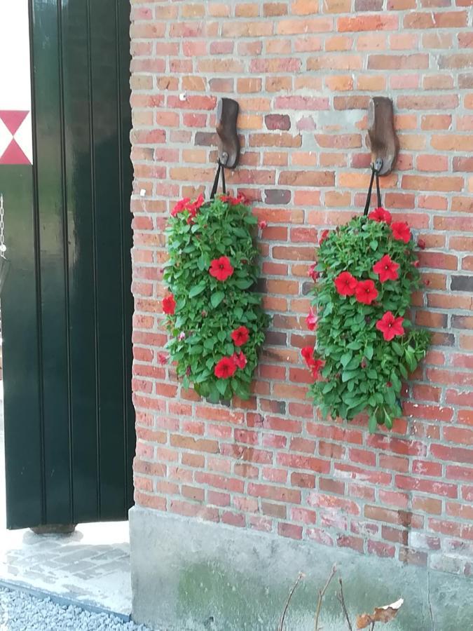 Erve Het Roolvink Boerderij Appartementen 40-50 M2 Ενσκέντε Εξωτερικό φωτογραφία
