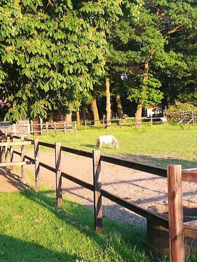 Erve Het Roolvink Boerderij Appartementen 40-50 M2 Ενσκέντε Εξωτερικό φωτογραφία