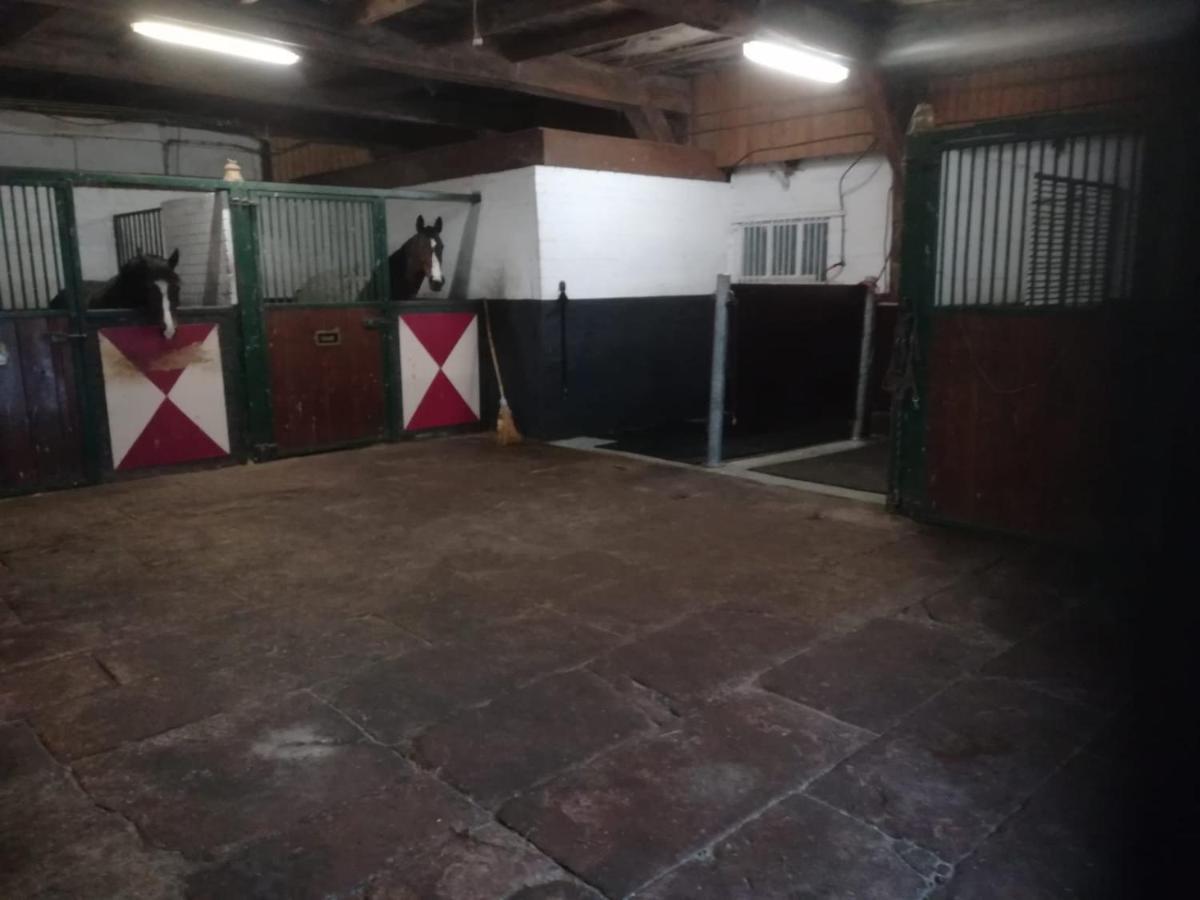 Erve Het Roolvink Boerderij Appartementen 40-50 M2 Ενσκέντε Εξωτερικό φωτογραφία