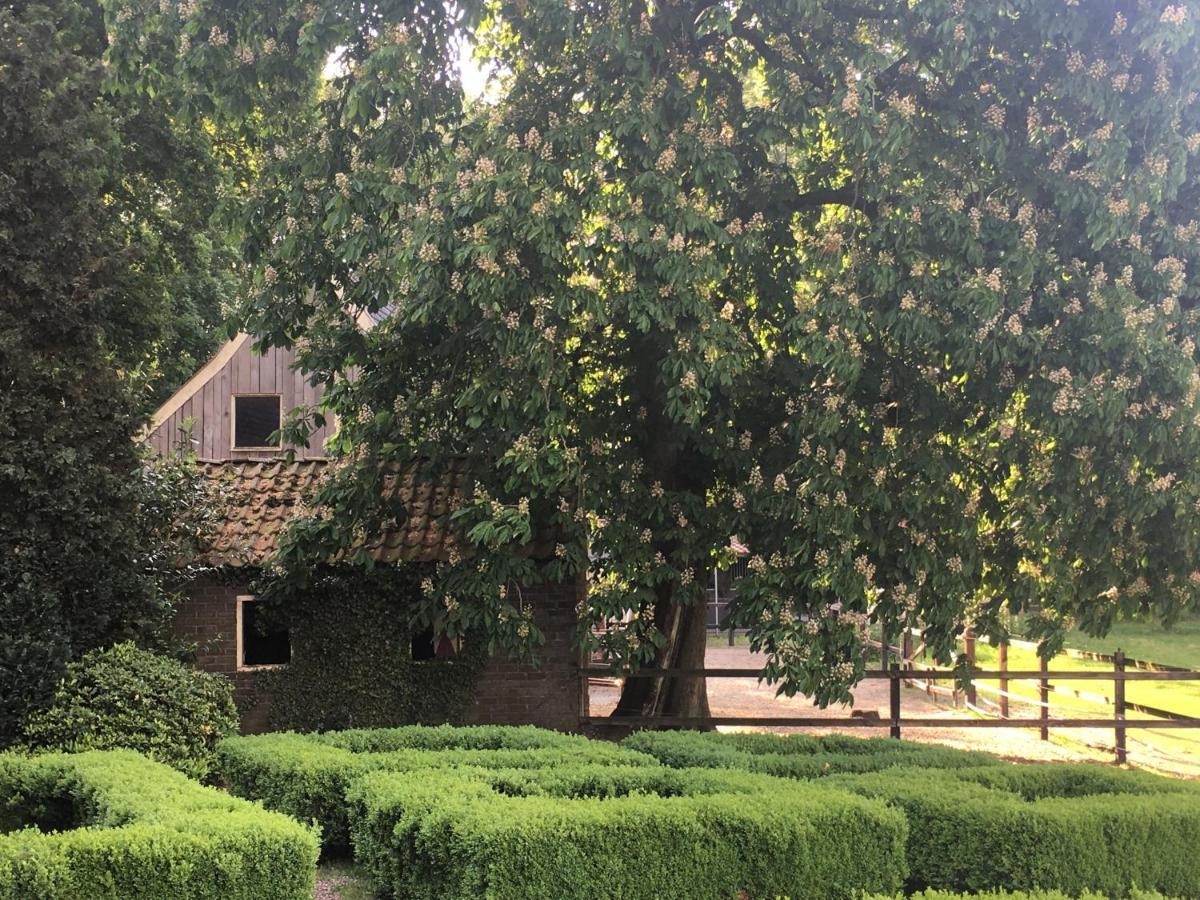 Erve Het Roolvink Boerderij Appartementen 40-50 M2 Ενσκέντε Εξωτερικό φωτογραφία