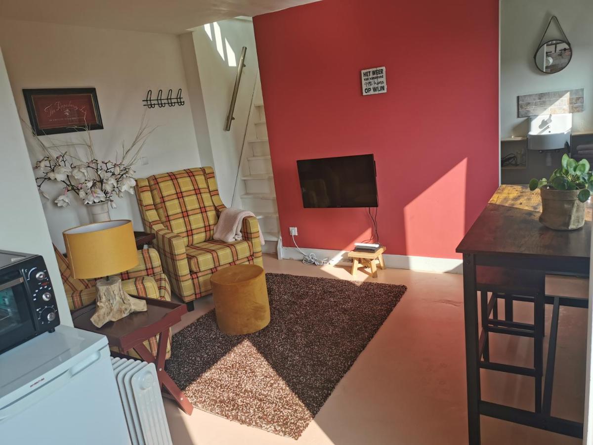 Erve Het Roolvink Boerderij Appartementen 40-50 M2 Ενσκέντε Εξωτερικό φωτογραφία