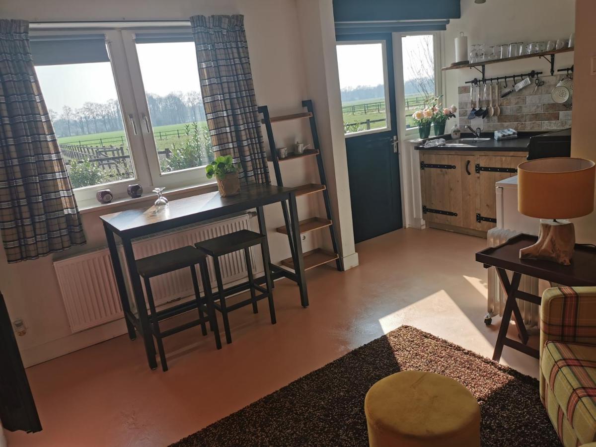 Erve Het Roolvink Boerderij Appartementen 40-50 M2 Ενσκέντε Εξωτερικό φωτογραφία