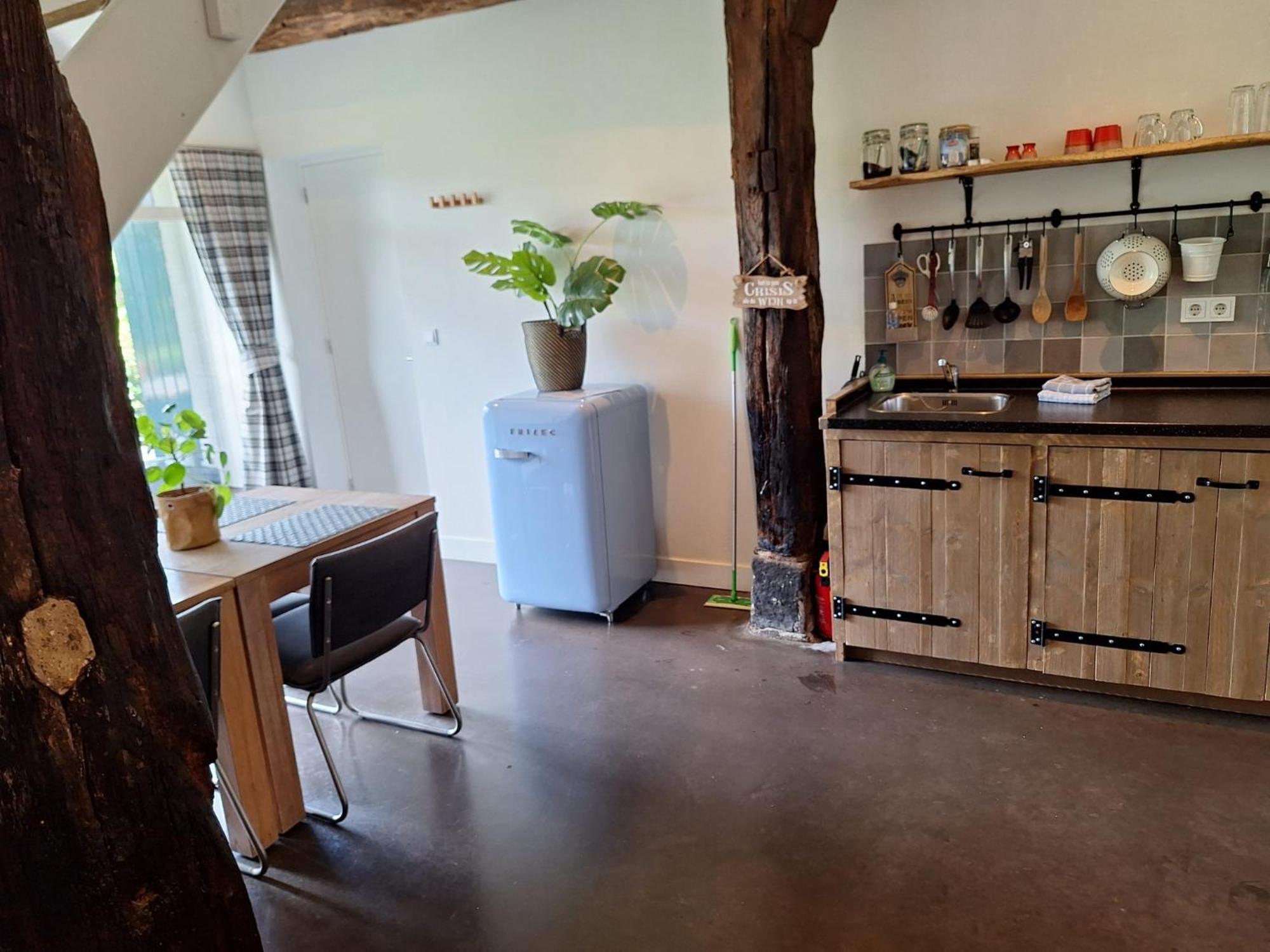 Erve Het Roolvink Boerderij Appartementen 40-50 M2 Ενσκέντε Εξωτερικό φωτογραφία